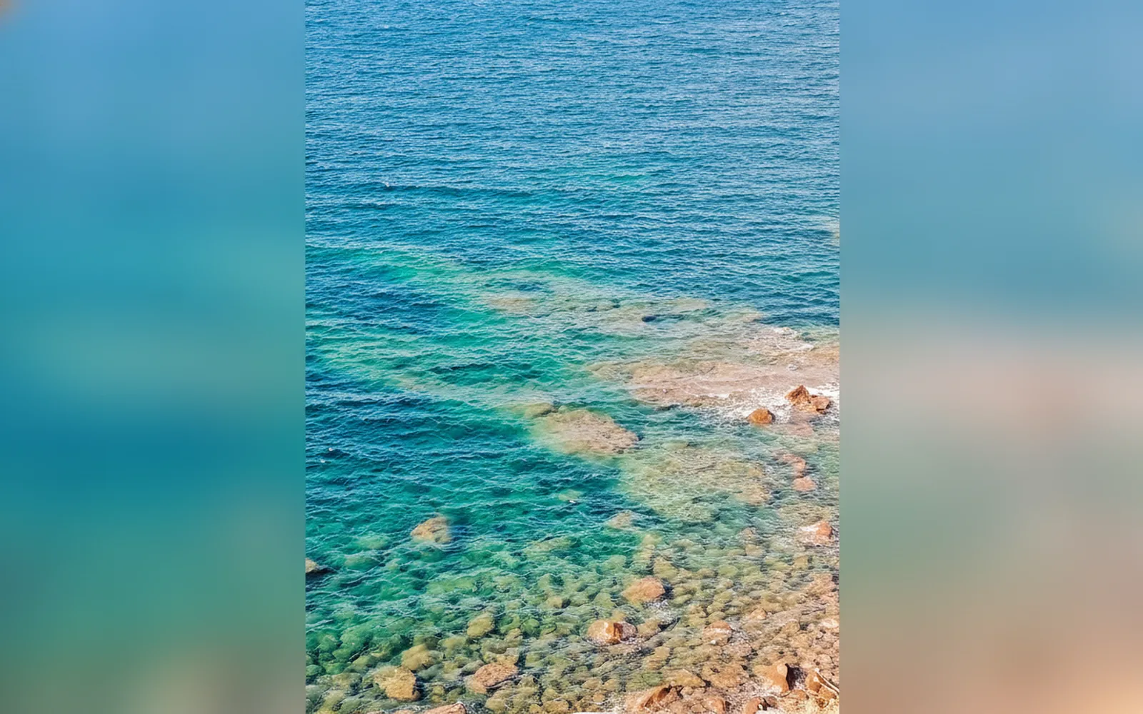 Esterni di La terrazza di Mari, Castelsardo (Sardegna) (foto 13)